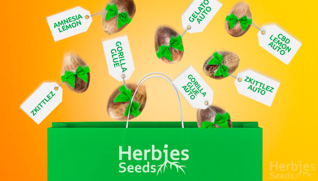 Herbies Seeds Review 3