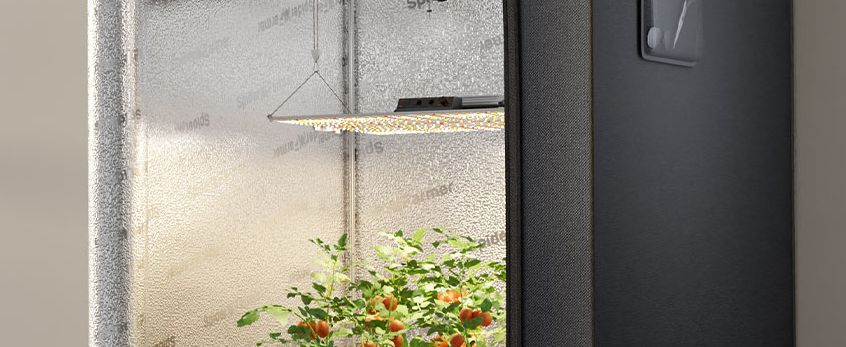 best led grow light under $200 in grow tent