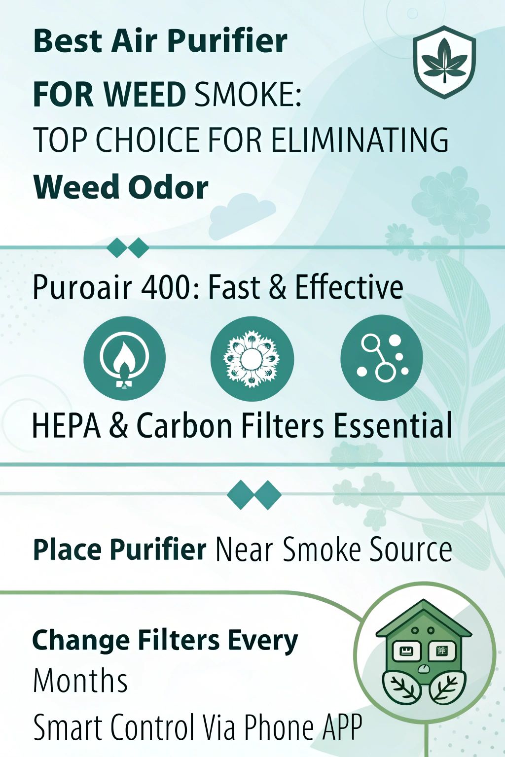 Best air purifier for weed smoke infographic